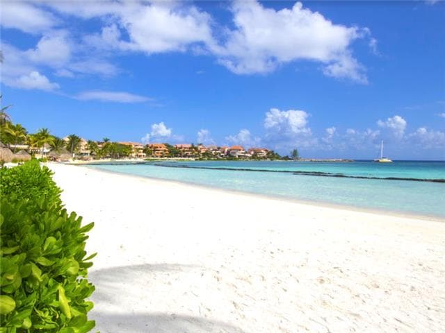 LA BUENA VIDA - Puerto Aventuras, Quintana Roo, Mexico