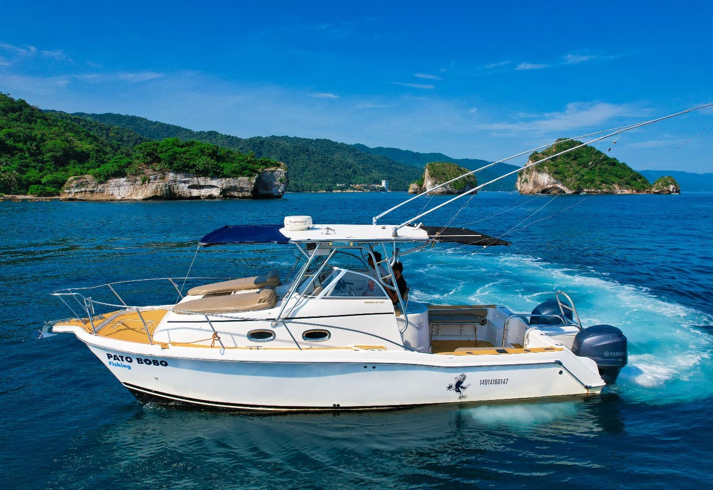 SPORT KAT 29´